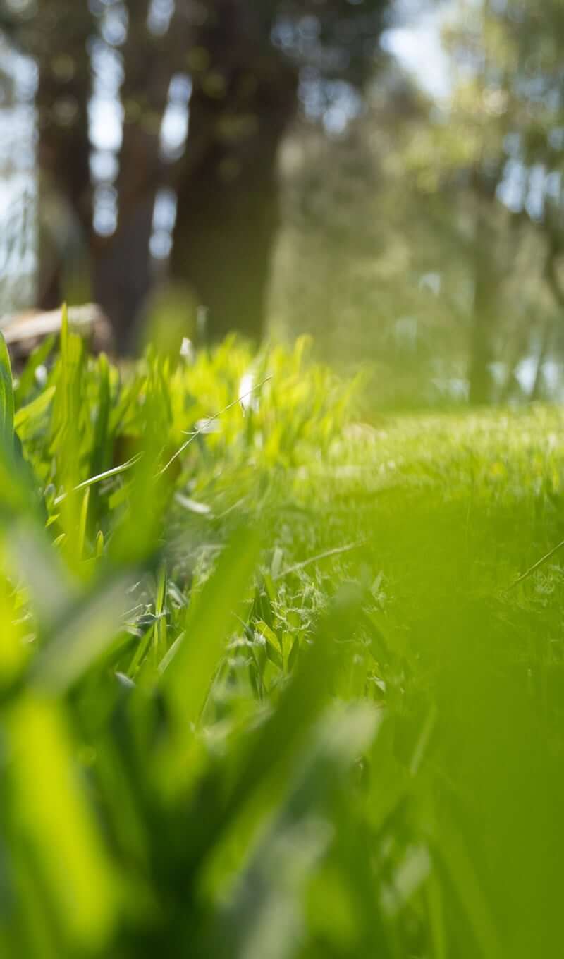 landscaping-11b